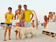 Thiago e Graziano vincono la prima “Doggy fashion night”
