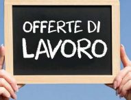 Le offerte di lavoro del 29 febbraio 2016