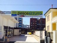 Pesceazzurro a Senigallia