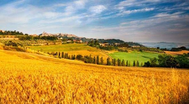 La Regione Marche investe 22 milioni di euro per favorire l’insediamento dei giovani agricoltori