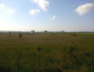 Il parco poteva già esserci