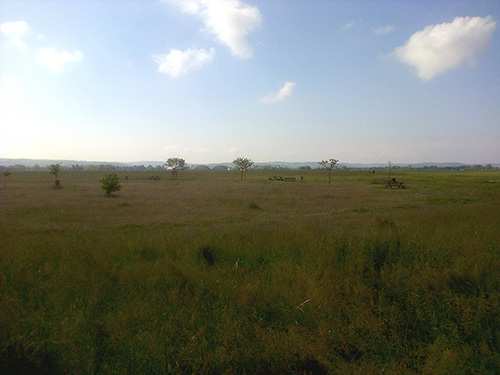 Il parco poteva già esserci