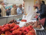 60esima Sagra del Castagnolo