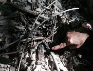 Delitto Lulli, ritrovata l’arma e il cellulare