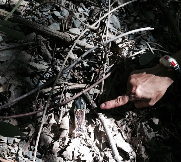 Delitto Lulli, ritrovata l’arma e il cellulare