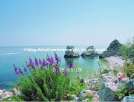 www.destinazionemarche.it