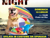 In costume contro l'abbandono