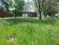 Verde pubblico e volontari