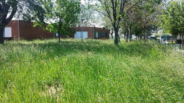 Verde pubblico e volontari