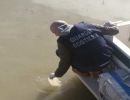 Sostanze inquinanti nel canale