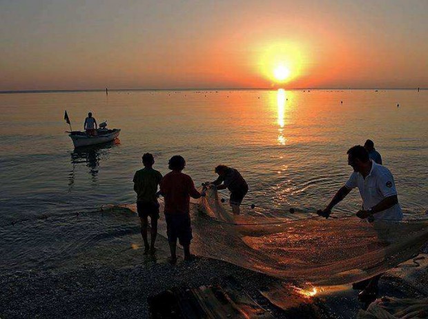 Festa Tratta a reti unificate