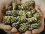 Porta marijuana in carcere al fidanzato. La nascondeva nel reggiseno e in borsa: arrestata