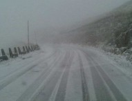 Neve