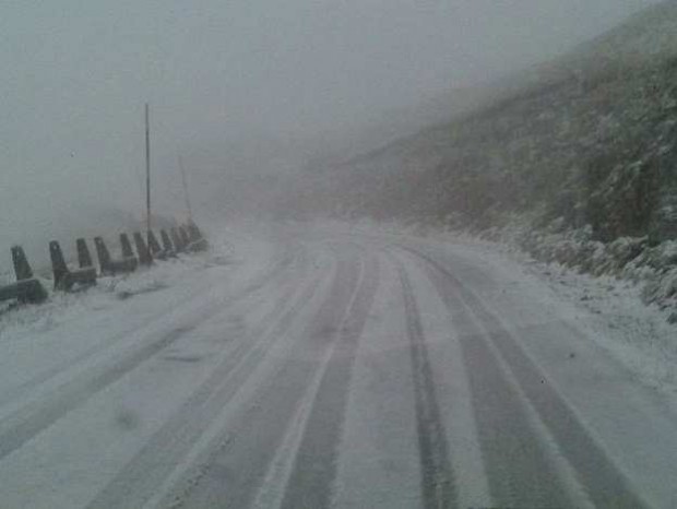 Neve