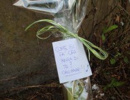 Omicidio Pesaro, ergastolo a Sabanov