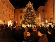 CioccoVisciola di Natale