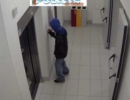 Imbrattato il Palazzo Ducale