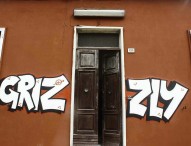 Grizzly resiste e rilancia