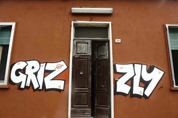 Grizzly resiste e rilancia