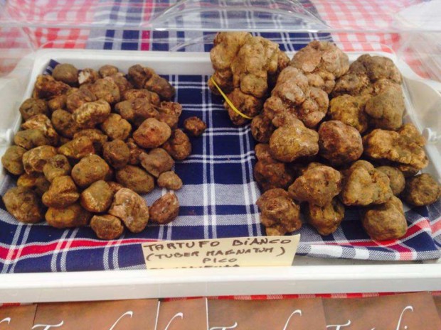Tartufo, tassazione dimezzata