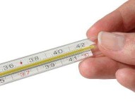 Influenza, Marche più colpite