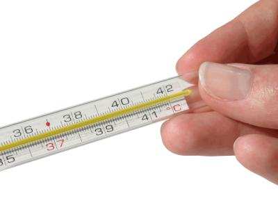 Influenza, Marche più colpite