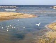 Arzilla, tutto risolto