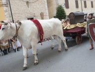 Il Comune di Siena a Pergola per omaggiare la rievocazione storica
