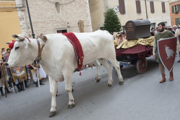 Il Comune di Siena a Pergola per omaggiare la rievocazione storica
