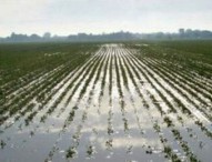 Torna maltempo dopo -31% pioggia ad agosto nelle Marche