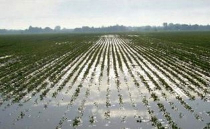Torna maltempo dopo -31% pioggia ad agosto nelle Marche