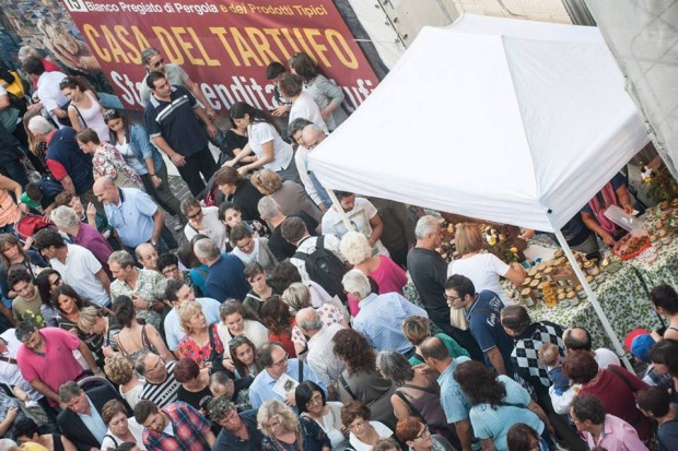 Pergola, Fiera Nazionale del Tartufo: boom di richieste per gli spazi espositivi