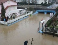 Allagamenti, Carloni: “Anche video ispezioni. Interventi subito”