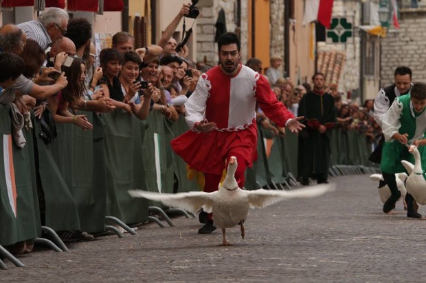 Serra Sant’Abbondio, oggi la giornata clou del Palio della Rocca