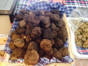 pergola-fiera-2014-tartufo