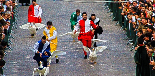 Serra Sant’Abbondio, tutto esaurito per il Palio della Rocca. Triplete per Sant’Onda