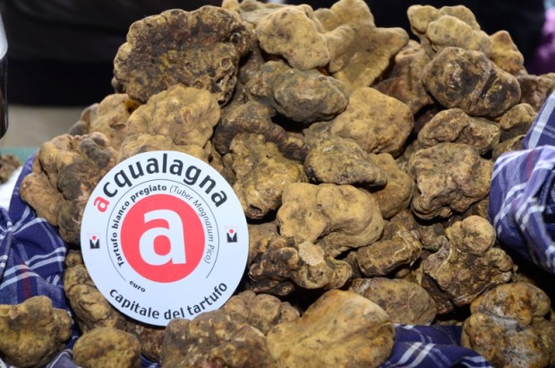 Tartufo: Acqualagna denuncia lo Stato alla Commissione europea per inadempimento del diritto comunitario