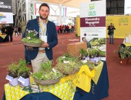Alla giornata dell’innovazione Expo arrivano dalle Marche le torte di prato