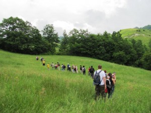camminata il ponticello