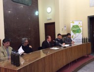 Cartoceto Dop, il Festival: tre giorni per festeggiare l’oro verde delle Marche