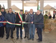 Al via Sapori e Aromi d’Autunno con il premio “Marche Nostre”