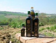 Cartoceto Dop, il Festival: domani si accendono le luci sulla prima giornata