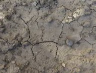 Coldiretti Marche: dicembre secco. Preoccupanti inquinamento e siccità