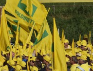 Coldiretti Marche, tra crisi e clima tagli alle produzioni agricole