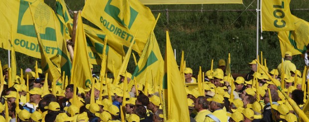 Coldiretti Marche, tra crisi e clima tagli alle produzioni agricole