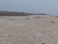 Movimento 5 Stelle in tour a Marotta sud: “Degrado e abbandono”