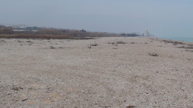 Movimento 5 Stelle in tour a Marotta sud: “Degrado e abbandono”