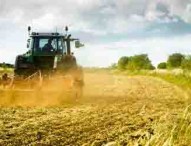 Il settore agricolo nelle Marche è tech e sostenibile