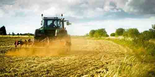 Il settore agricolo nelle Marche è tech e sostenibile