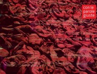 “Con le parole giuste”, alla Memo si parla di Shoah